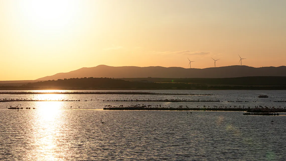 Fuente de Piedra - Historia de la Laguna
