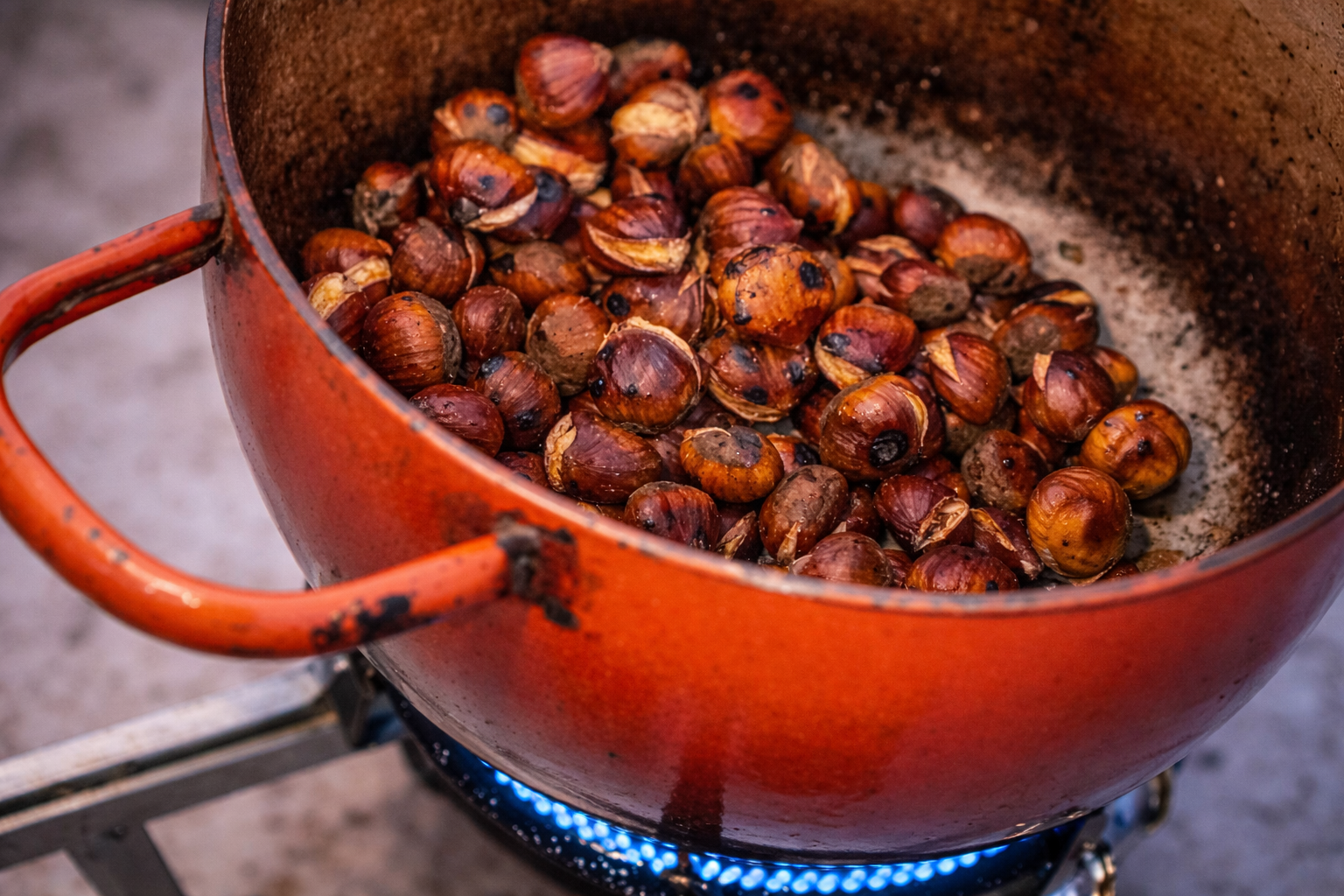 La ureña en Fuente de Piedra Halloween